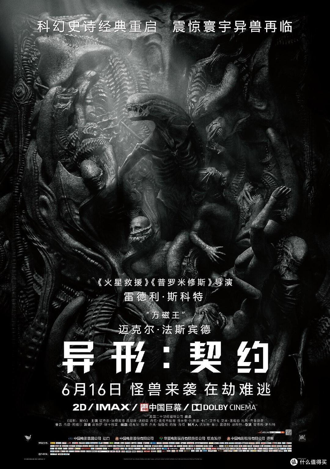 慢热型候鸟航线